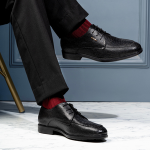 Egoss Platinum Lace-Up Shoes For Men