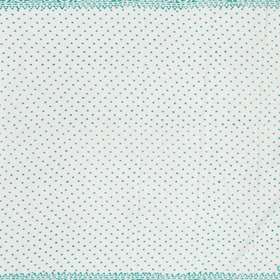 Turquoise Woven Jaipur Cotton Saree Printed With White Floral Motifs