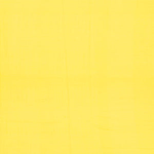 Lemon Yellow Handloom Bhujodi Cotton Saree With Buttas