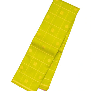 Light Green Handloom Kanchipuram Silk Saree With Checks & Buttas