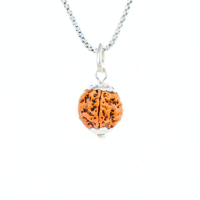 Silver Capping 5 Mukhi Rudraksha Pendant With Chain  ( Nepali )