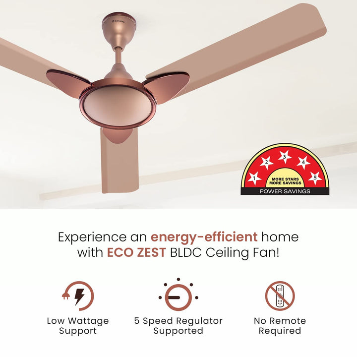 Candes Eco Zest Energy saving Designer 1200 mm / 48 inch Anti-Rust BLDC Ceiling Fan With Remote (2 Years Warranty) (Coffee Brown)