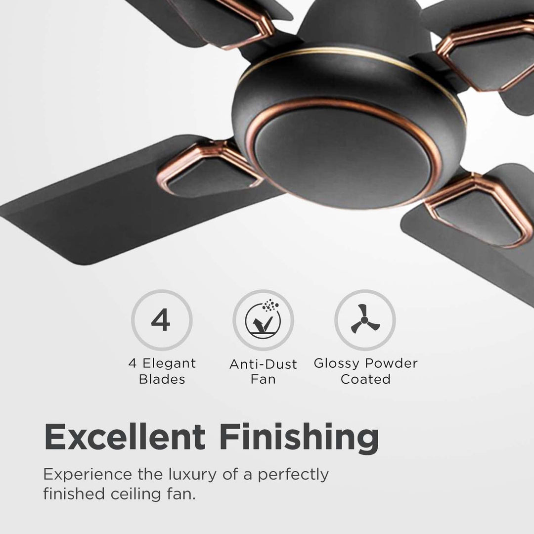 Candes Brio Turbo 600 mm / 24 Inch High Speed 4 Blade Anti-Dust 405 RPM Ceiling Fan Suitable for Kitchen/Veranda/Balcony/Small Room (Pack of 1, Coffee Brown)