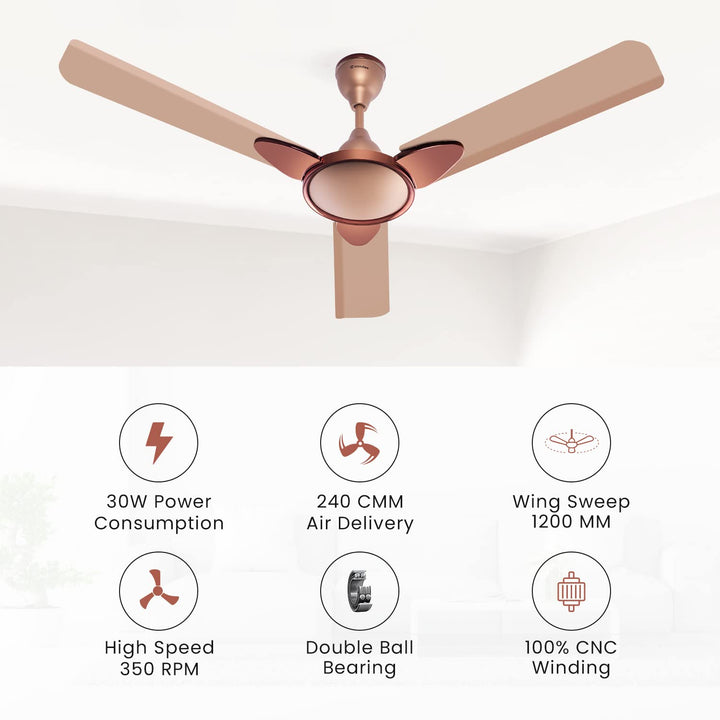 Candes Eco Zest Energy saving Designer 1200 mm / 48 inch Anti-Rust BLDC Ceiling Fan With Remote (2 Years Warranty) (Coffee Brown)