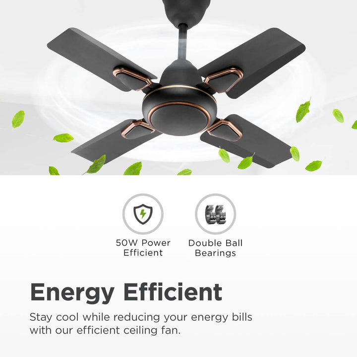 Candes Brio Turbo 600 mm / 24 Inch High Speed 4 Blade Anti-Dust 405 RPM Ceiling Fan Suitable for Kitchen/Veranda/Balcony/Small Room (Pack of 1, Coffee Brown)