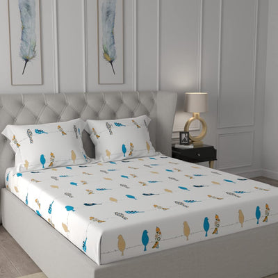 Divine Collection - 144 TC 100%  Cotton Bedsheet with 2 Pillow Covers- Humming Bird Blue
