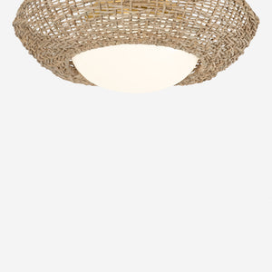 Byrd Flush Mount Light