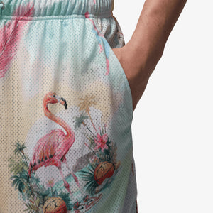 JORDAN | JORDAN ESSENTIALS PRINTED MESH SHORTS { SAIL/GLACIER BLUE