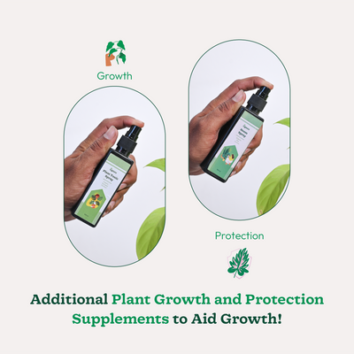 Indoor Gardening Kit