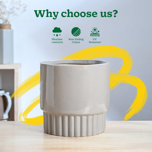 Immortal Nights Ceramic Planter