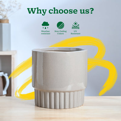 Immortal Nights Ceramic Planter