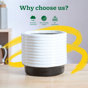 Untold stories Ceramic Planter