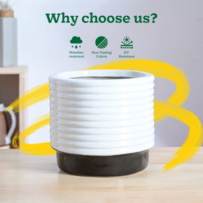 Untold stories Ceramic Planter