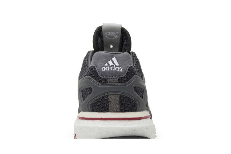 adidas Energy Boost Run Thru Time