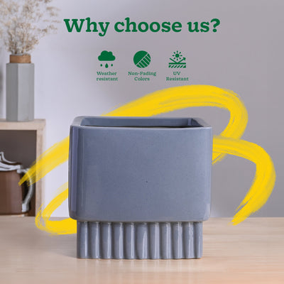 Immortal Nights Ceramic Planter