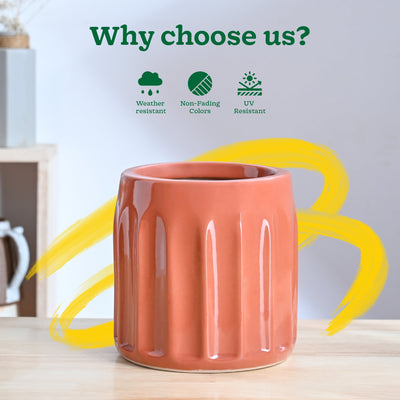 Blushing Sun Ceramic Planter