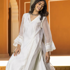 Sophia Organza Straight Kurta Set