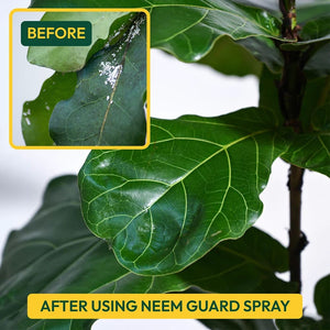 Neem Guard Ready to Use Neem Oil Spray - 500 ml