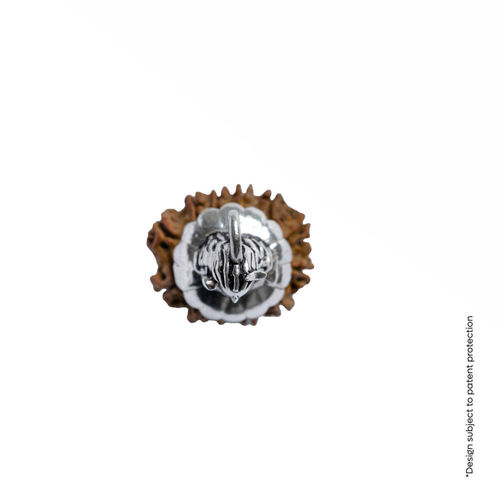 Adiyogi Pendant (12 Mukhi Nepali  Rudraksha) With Chain