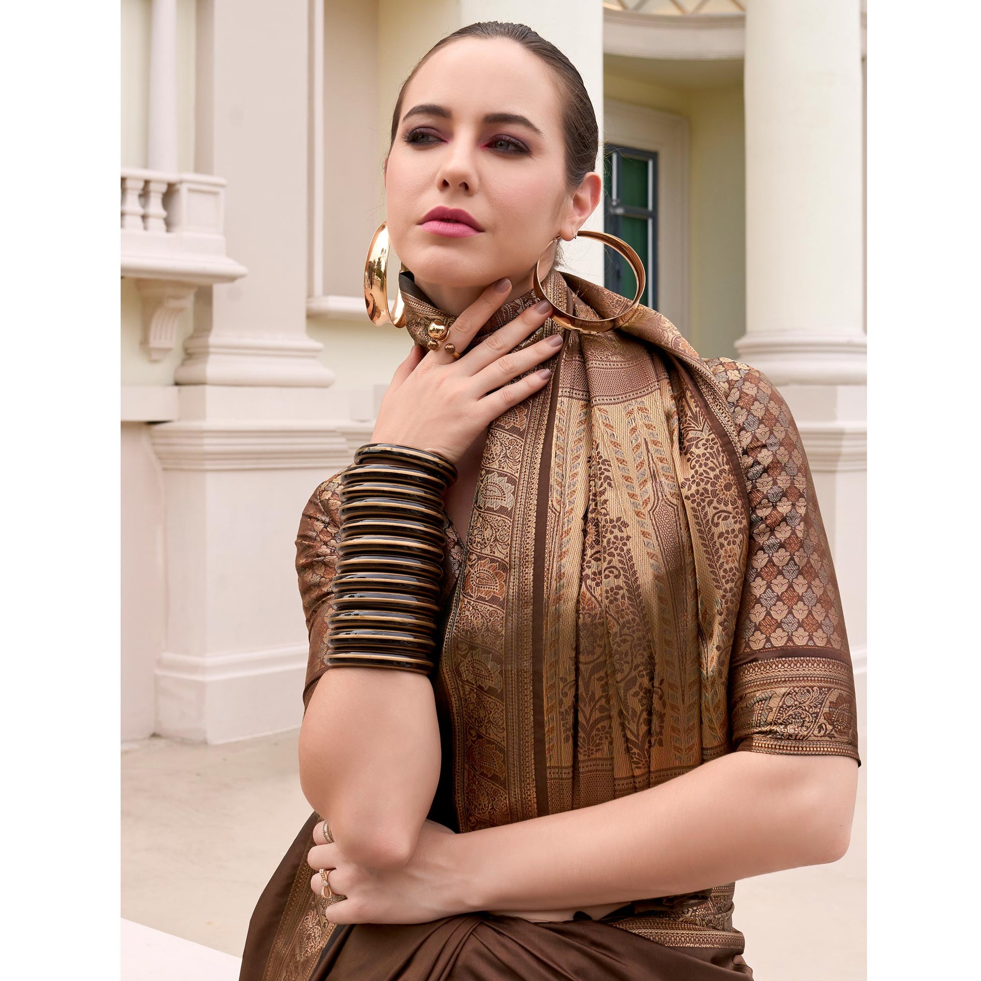 Brown Woven Banarasi Silk Saree With Zari Border