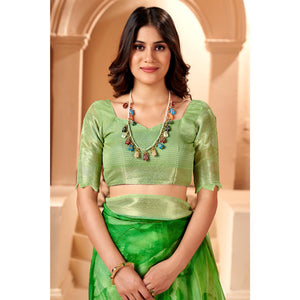 1green-blue-printed-organza-saree-with-woven-border