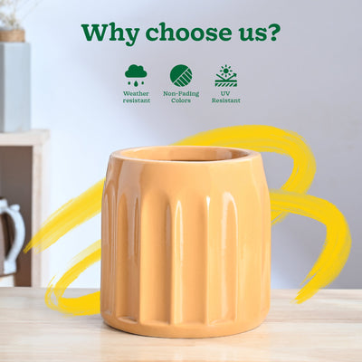 Blushing Sun Ceramic Planter