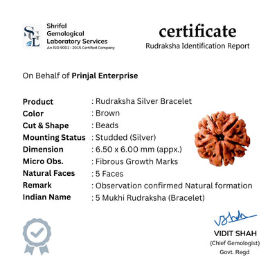 Rudraksha Silver Swastik Brooch Triple Line Bracelet