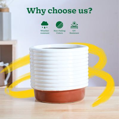 Untold stories Ceramic Planter