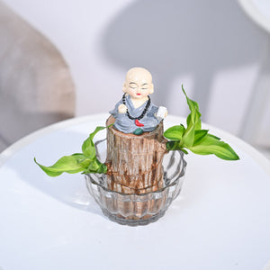 Brazilian Wood Plant