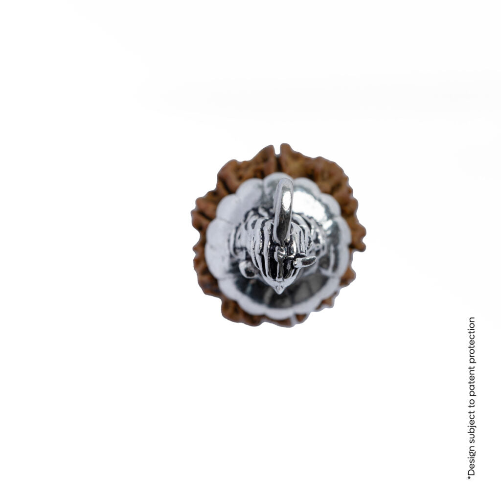 Adiyogi Pendant (10 Mukhi Nepali  Rudraksha) With Chain