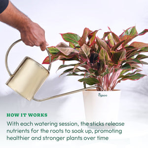 Plant Food Fertilizer Sticks -  Rootmaster