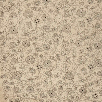 Taupe Cotton Saree With Black Kalamkari Print