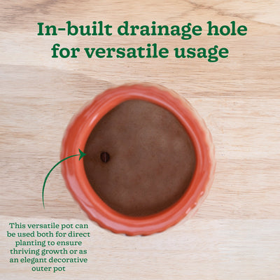 Fallen Angel Ceramic Planter