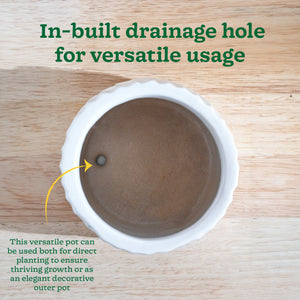 Fallen Angel Ceramic Planter