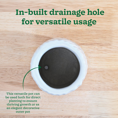 Fallen Angel Ceramic Planter