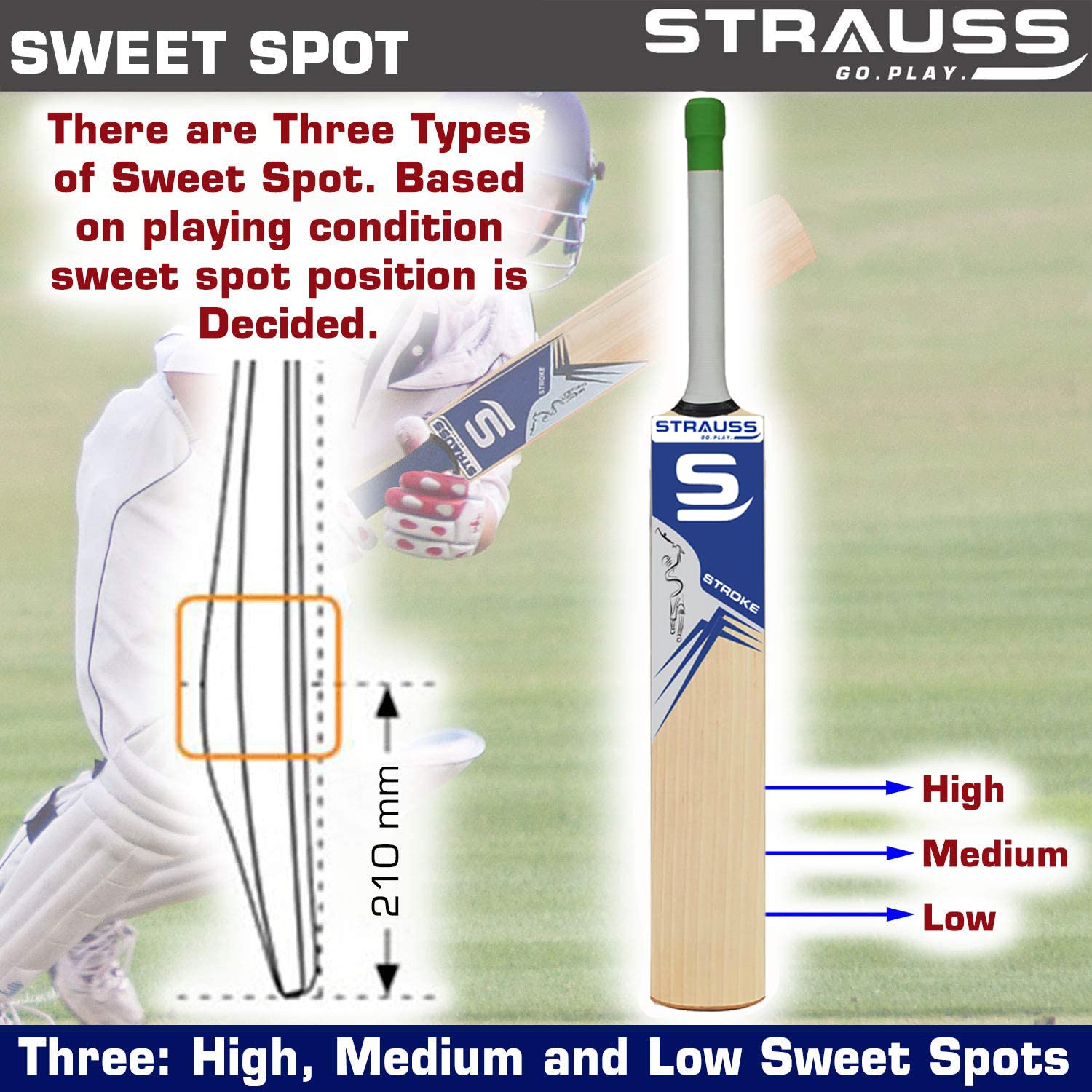 Strauss Cricket Bat English Willow | Premium Leather Ball Bat for Cricket | Ideal for Professional Players, Beginners, and Practice Sessions| Ergonomic Grip Handle | Edition Stroke | Size 5