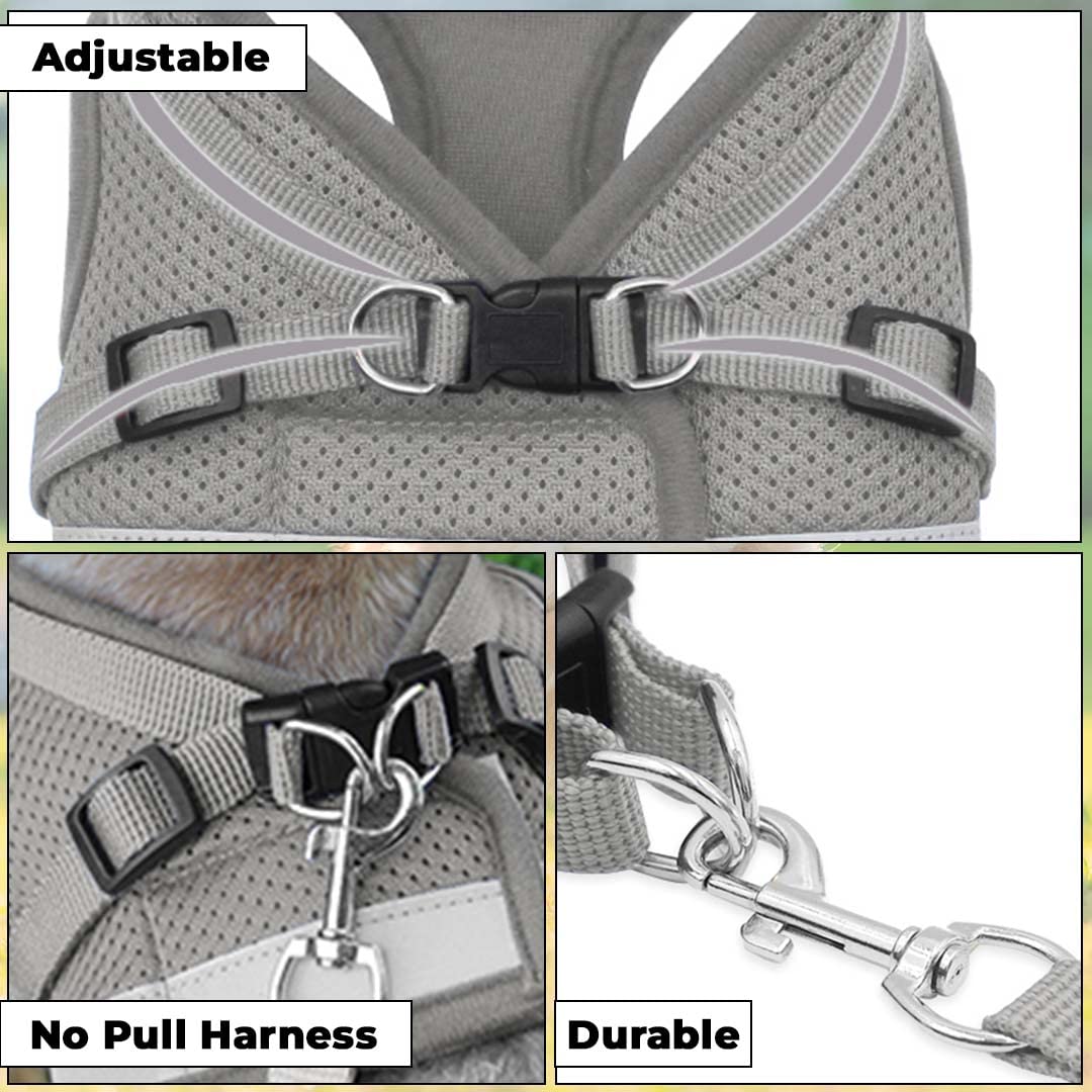 Homestic Reflective Dog Harness with Adjustable Leash|Breathable Polyester Mesh Fabric |XL Size|HT-844|Comfortable No-Pull Grip|Quick Release Buckles|Easy On - Easy Off Harness|Grey