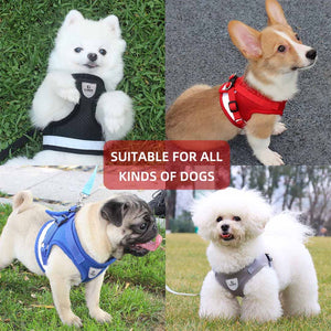 Homestic Reflective Dog Harness with Adjustable Leash|Breathable Polyester Mesh Fabric |XL Size|HT-844|Comfortable No-Pull Grip|Quick Release Buckles|Easy On - Easy Off Harness|Grey