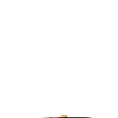 Saint Laurent Cassandre Belt