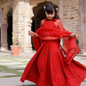 Kai Embroidered Lehenga Set