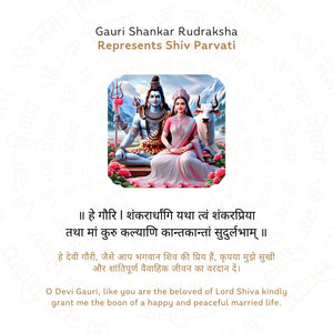 Gauri Shankar Rudraksha (Nepali)