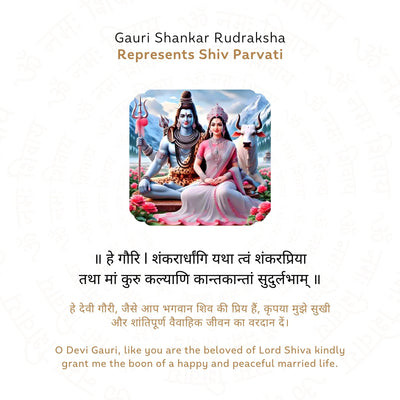Gauri Shankar Rudraksha (Nepali)