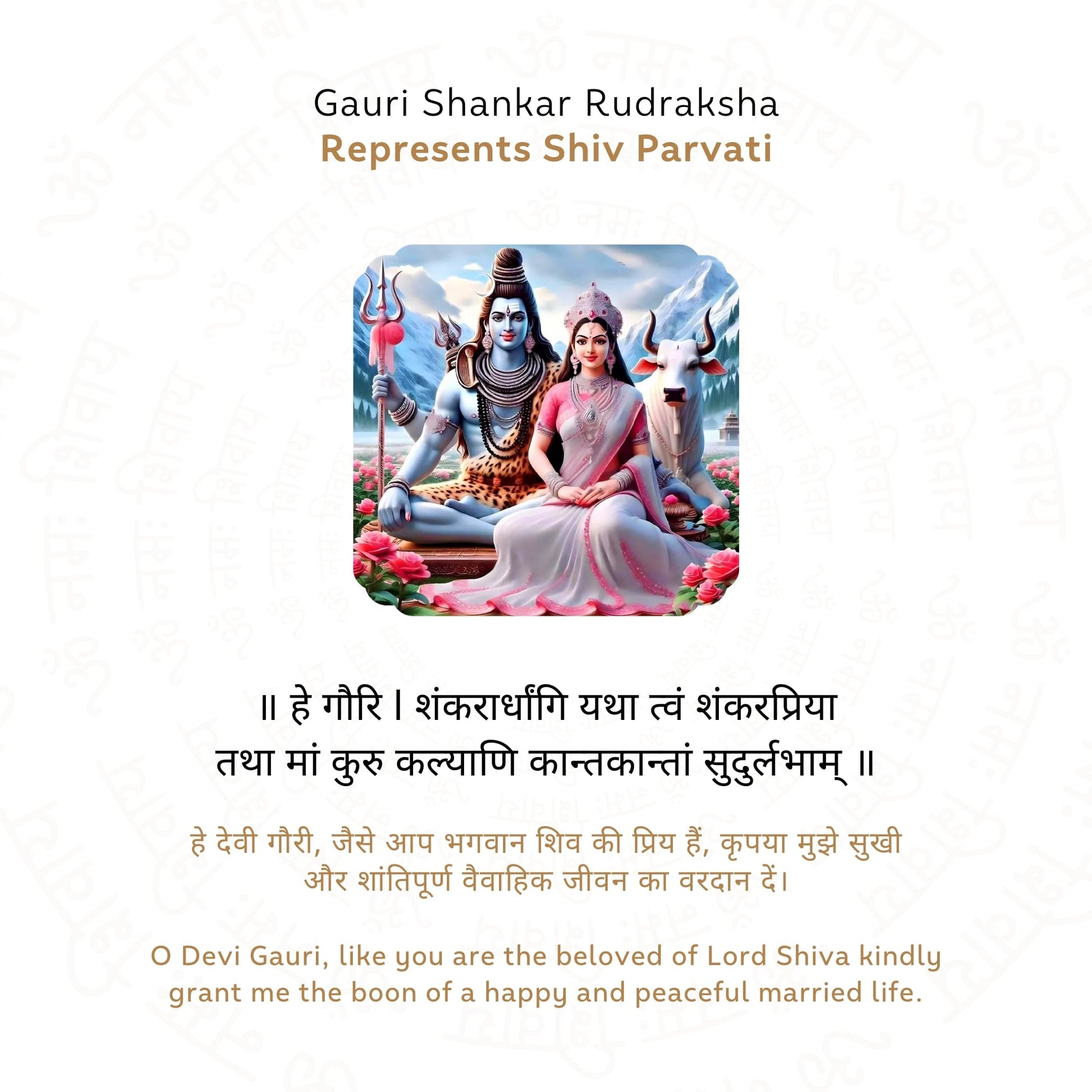 Gauri Shankar Rudraksha (Nepali)