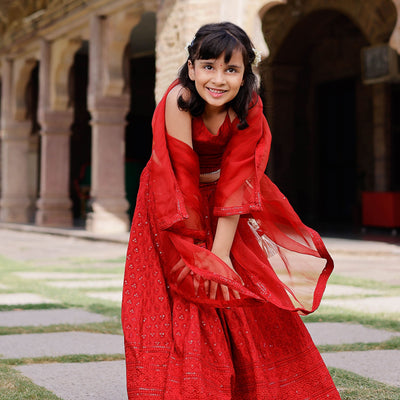 Kai Embroidered Lehenga Set
