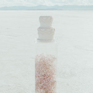 Garden Couture Pink Salt Flats Wedding Editorial
