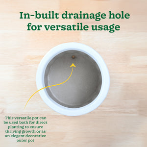 Blushing Sun Ceramic Planter