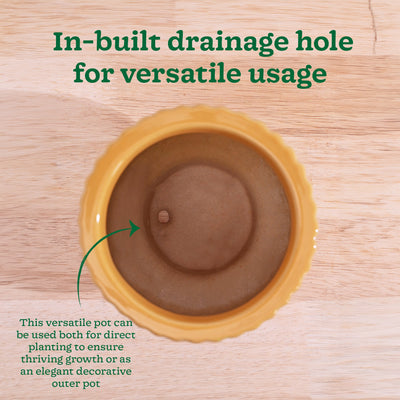 Forms of Love Ceramic Planter