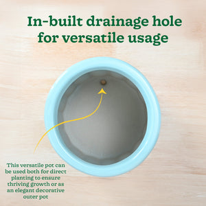 Blushing Sun Ceramic Planter