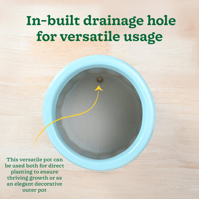 Blushing Sun Ceramic Planter