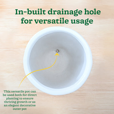 Echoing Eternity Ceramic Planter